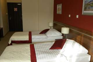 Отель Hotel Dębowiec Бельско-Бяла Двухместный номер с 1 кроватью или 2 отдельными кроватями-13